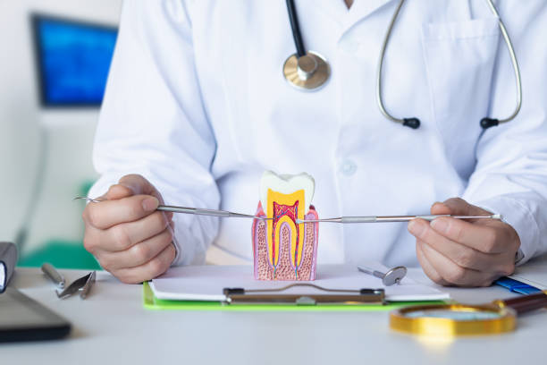 Best Chipped Tooth Repair Near Me  in De Leon Springs, FL
